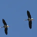 Palacio Viejo De Corchuelas Hotel Torrejón el Rubio