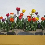 Hotel Palacio Viejo De Corchuelas 4*