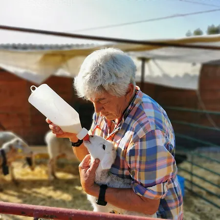 Palacio Viejo De Corchuelas Hotell 4*