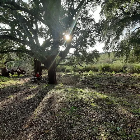 Palacio Viejo De Corchuelas 4* Torrejón el Rubio
