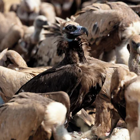 Palacio Viejo De Corchuelas Hotel Torrejón el Rubio