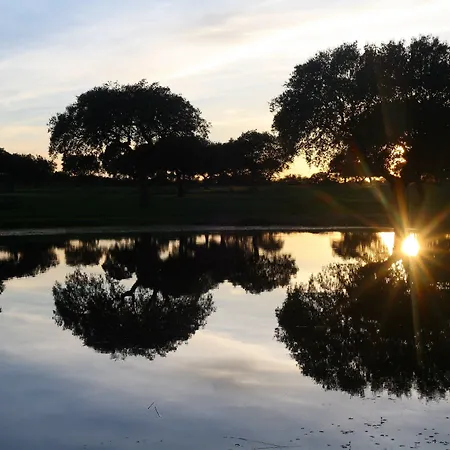 Palacio Viejo De Corchuelas 토레혼엘루비오