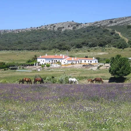 호텔 Palacio Viejo De Corchuelas 토레혼엘루비오