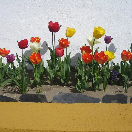 호텔 Palacio Viejo De Corchuelas 4*