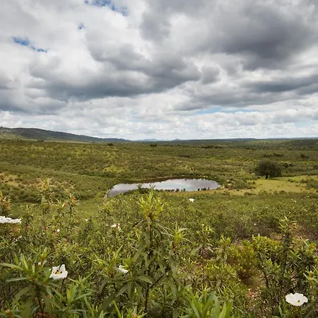 Palacio Viejo De Corchuelas 호텔 토레혼엘루비오