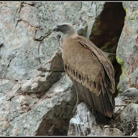Palacio Viejo De Corchuelas