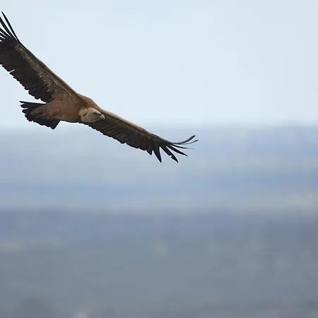 Palacio Viejo De Corchuelas Hotell Torrejón el Rubio