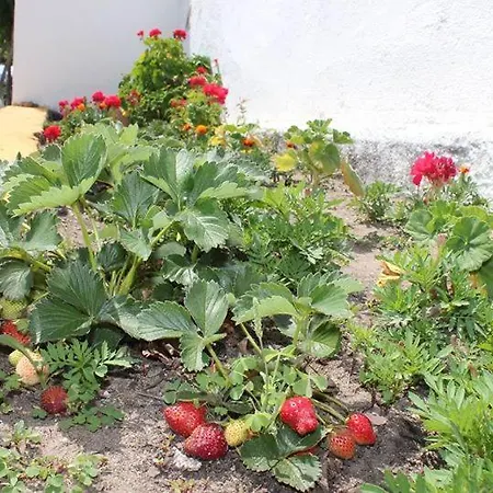 Palacio Viejo De Corchuelas Hotel Torrejón el Rubio