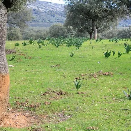 Palacio Viejo De Corchuelas 4*