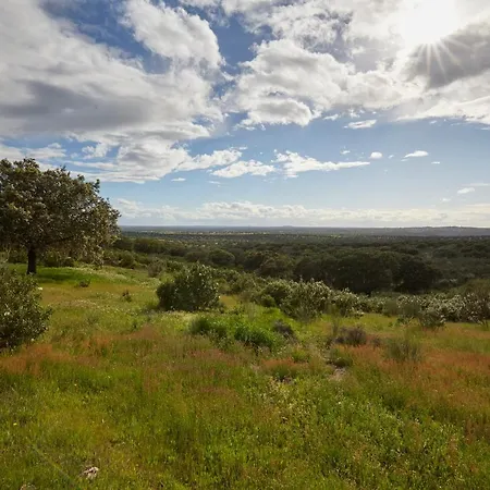 호텔 Palacio Viejo De Corchuelas