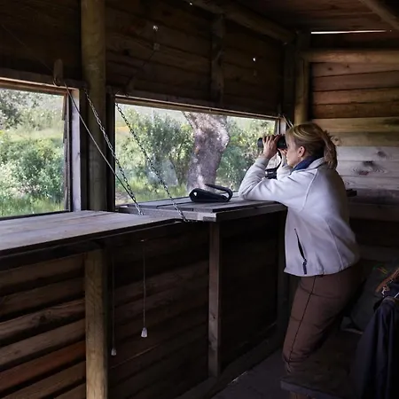 Hotell Palacio Viejo De Corchuelas 4*