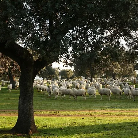 Palacio Viejo De Corchuelas 4* Torrejón el Rubio