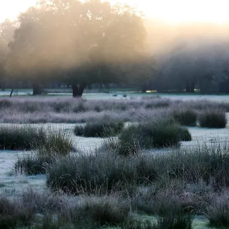 Palacio Viejo De Corchuelas 4*