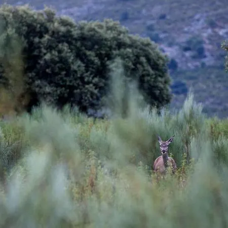 Hotel Palacio Viejo De Corchuelas 4*