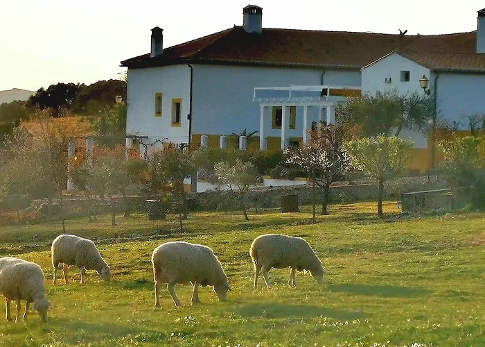 Palacio Viejo De Corchuelas 4* Торрехон-эль-Рубио