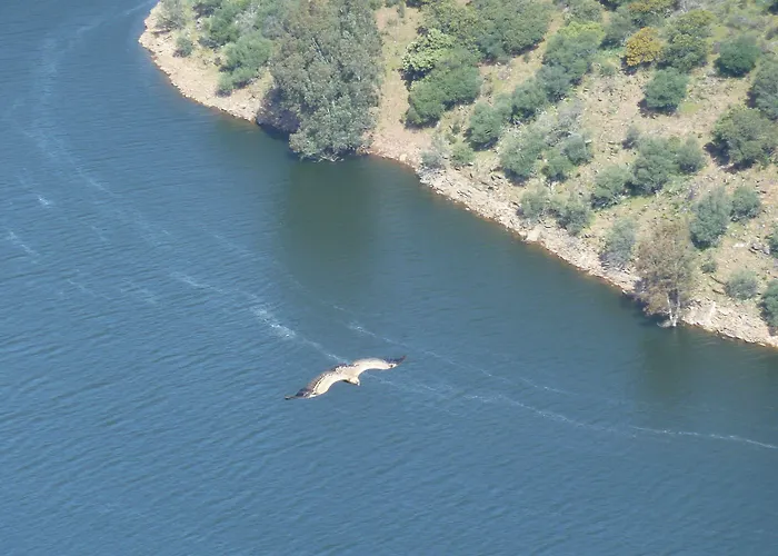 Отель Palacio Viejo De Corchuelas Торрехон-эль-Рубио