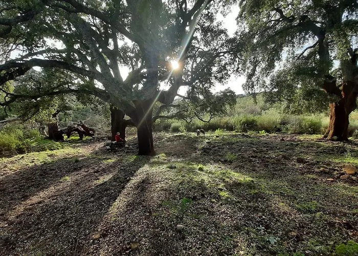 Palacio Viejo De Corchuelas 4* Торрехон-эль-Рубио