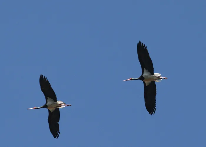 Palacio Viejo De Corchuelas Hotel Torrejón el Rubio