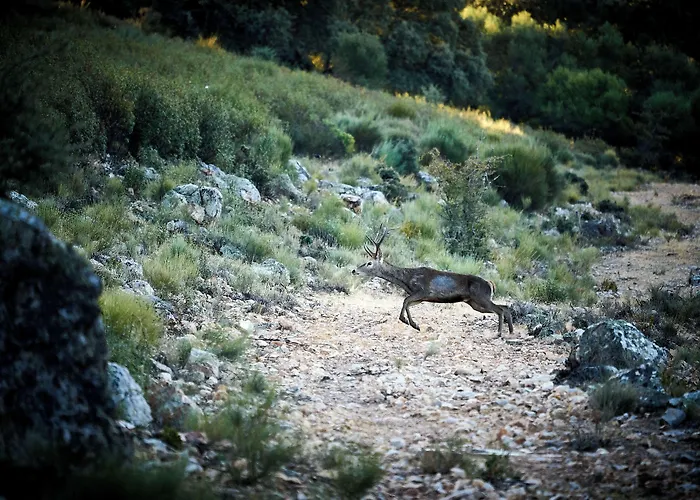 Palacio Viejo De Corchuelas Отель