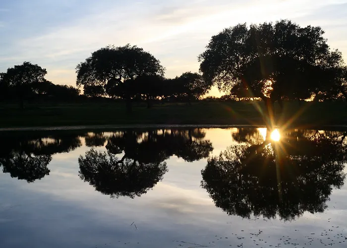 Palacio Viejo De Corchuelas Торрехон-эль-Рубио