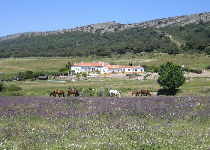 Отель Palacio Viejo De Corchuelas Торрехон-эль-Рубио