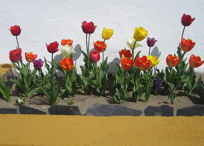 Hotel Palacio Viejo De Corchuelas 4*