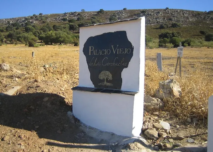 Palacio Viejo De Corchuelas Торрехон-эль-Рубио
