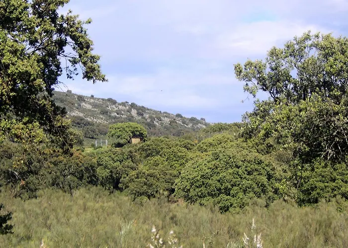 Palacio Viejo De Corchuelas 4* Торрехон-эль-Рубио