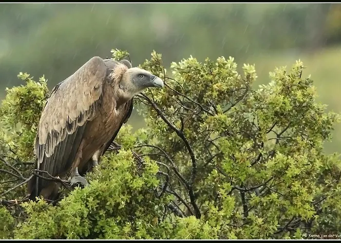 Hotel Palacio Viejo De Corchuelas 4*