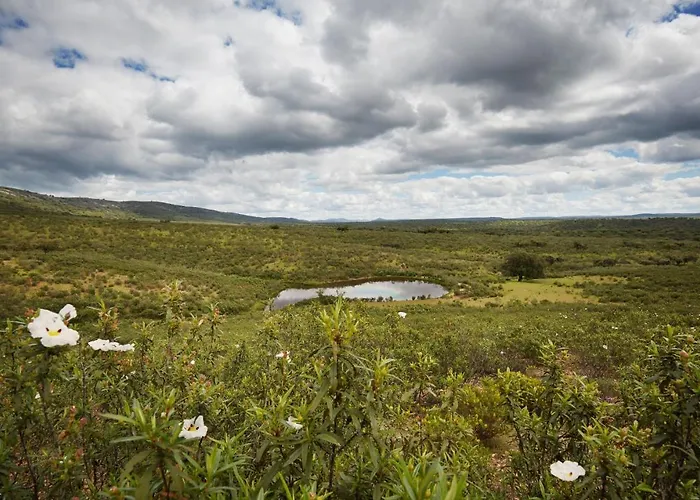 Palacio Viejo De Corchuelas Hotel Torrejón el Rubio