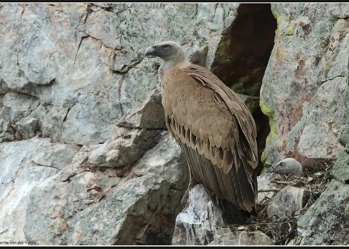 Palacio Viejo De Corchuelas