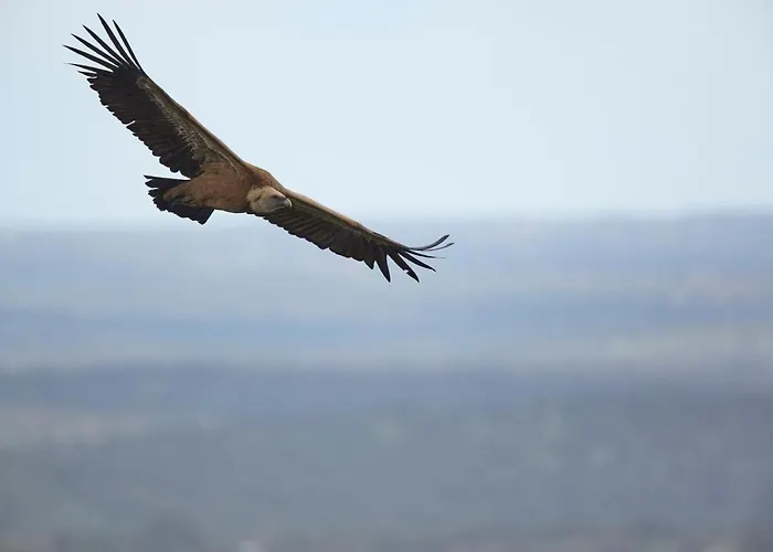 Palacio Viejo De Corchuelas Отель Торрехон-эль-Рубио