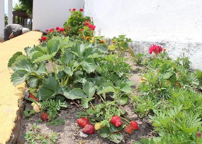 Palacio Viejo De Corchuelas Отель Торрехон-эль-Рубио