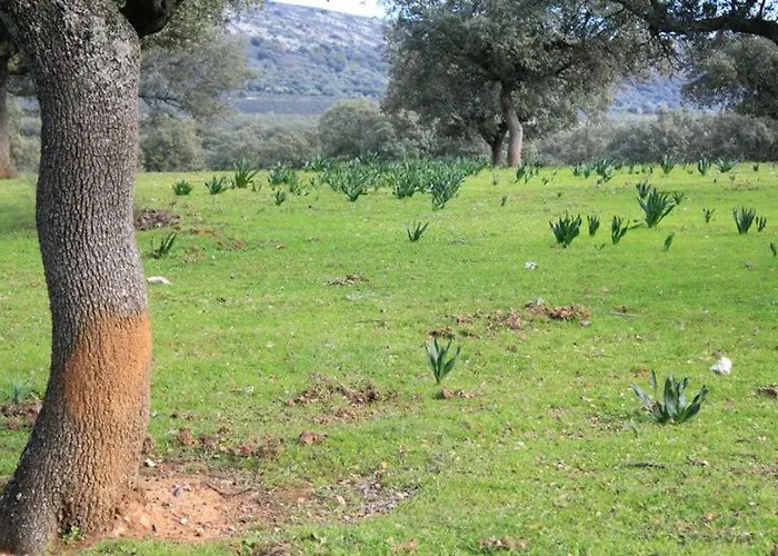 Palacio Viejo De Corchuelas 4*