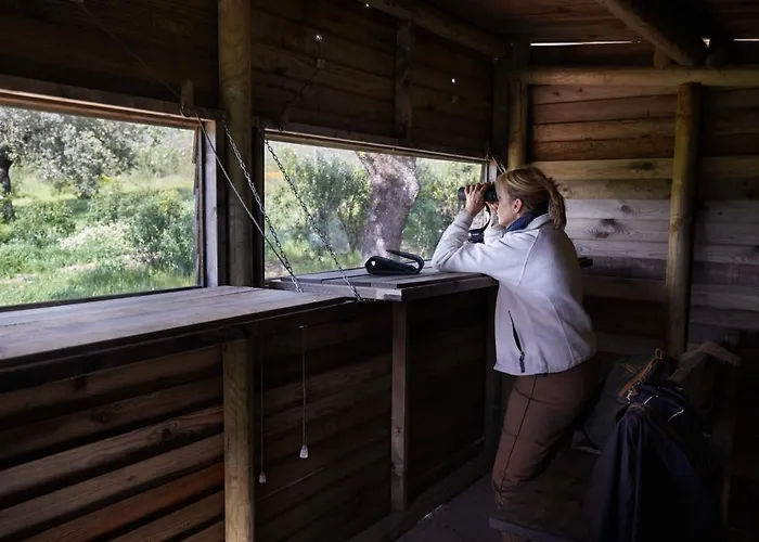 Отель Palacio Viejo De Corchuelas 4*