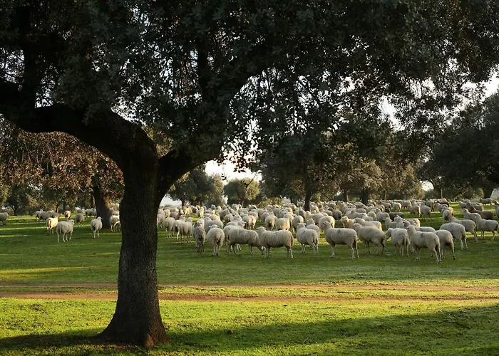 Palacio Viejo De Corchuelas 4* Торрехон-эль-Рубио