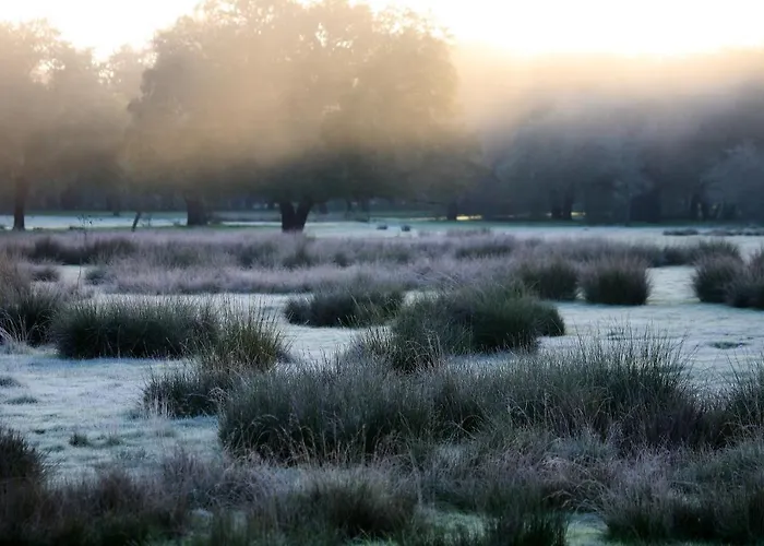 Palacio Viejo De Corchuelas 4*