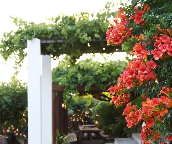 Palacio Viejo De Corchuelas Hotel Torrejon el Rubio