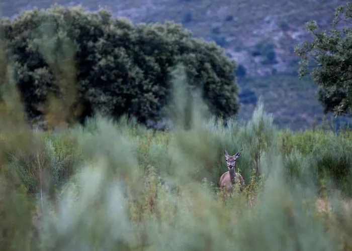Hotel Palacio Viejo De Corchuelas 4*