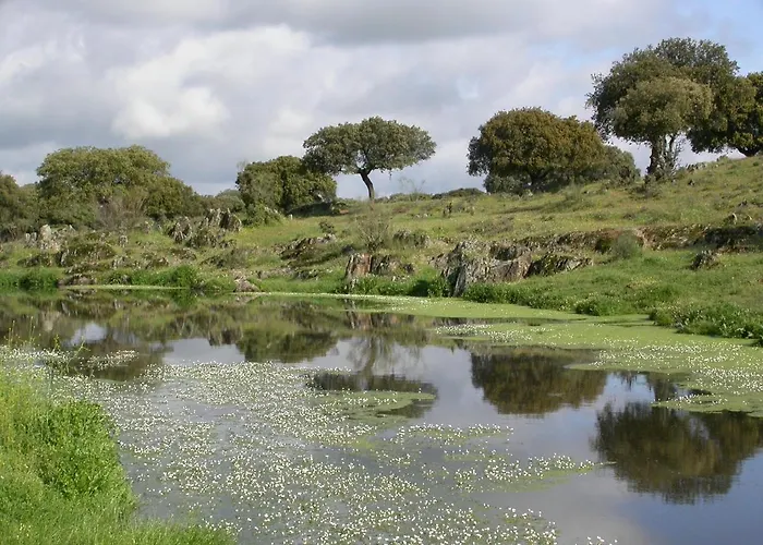 Palacio Viejo De Corchuelas 4* Торрехон-эль-Рубио